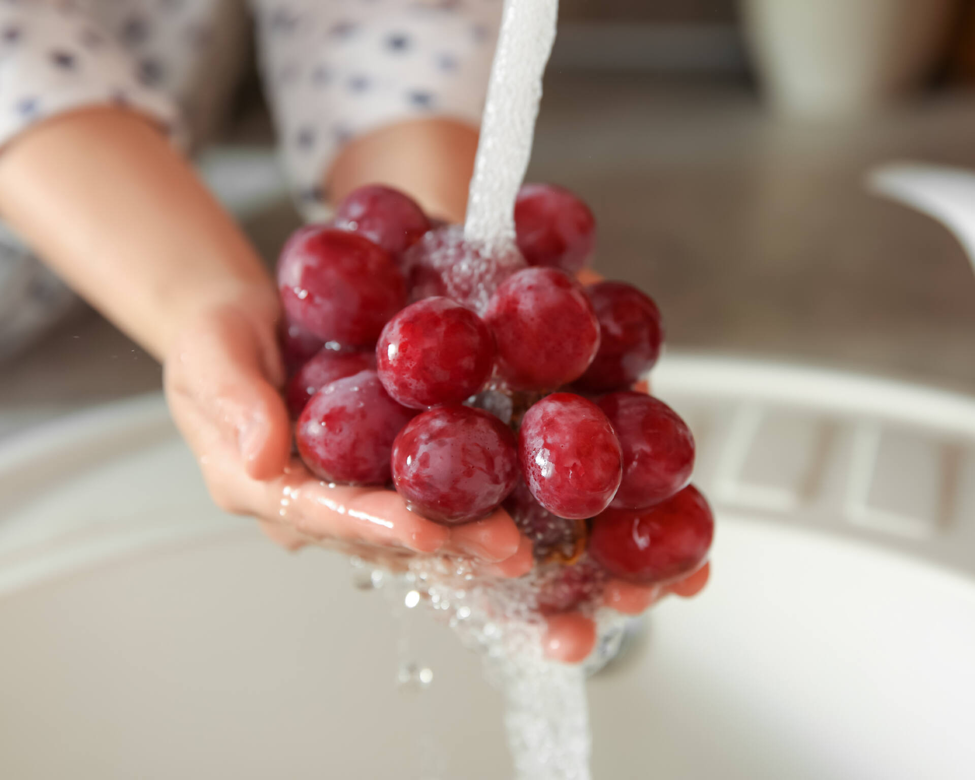 お召し上がりの直前に、さっと水洗い。