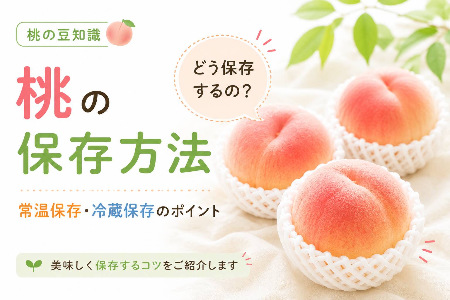 桃の保存方法｜常温保存・冷蔵保存のポイント