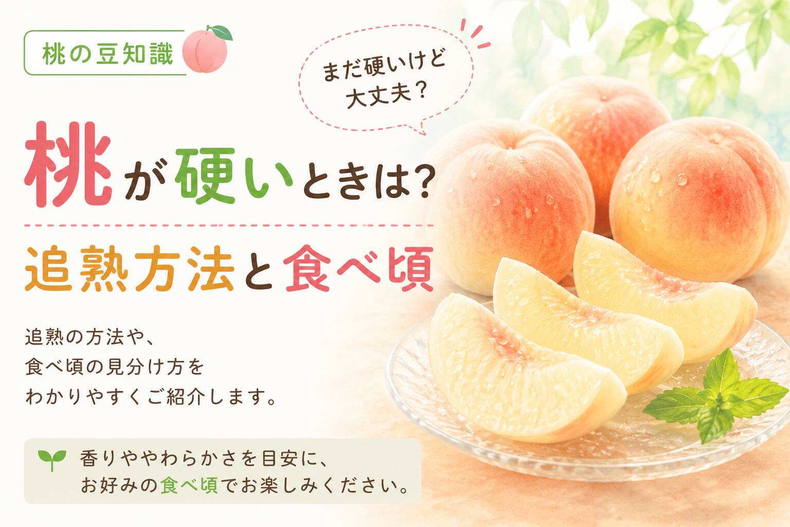 桃が硬いときは?追熟方法と食べ頃