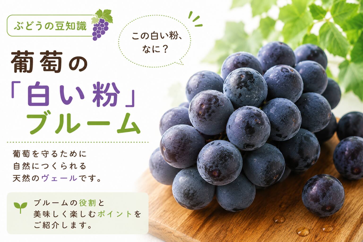 葡萄の「白い粉」ブルーム