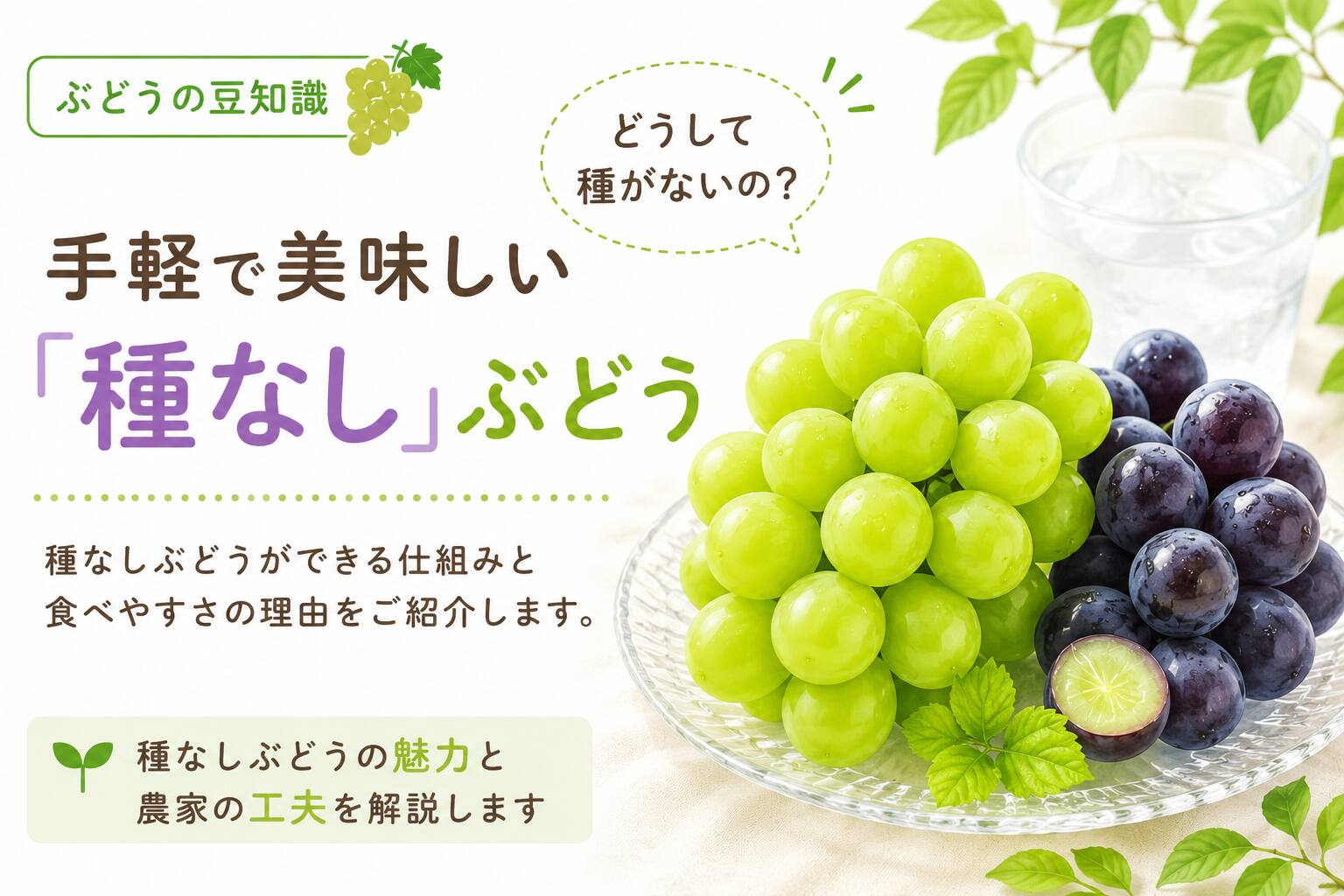 手軽で美味しい 「種なし」ぶどう