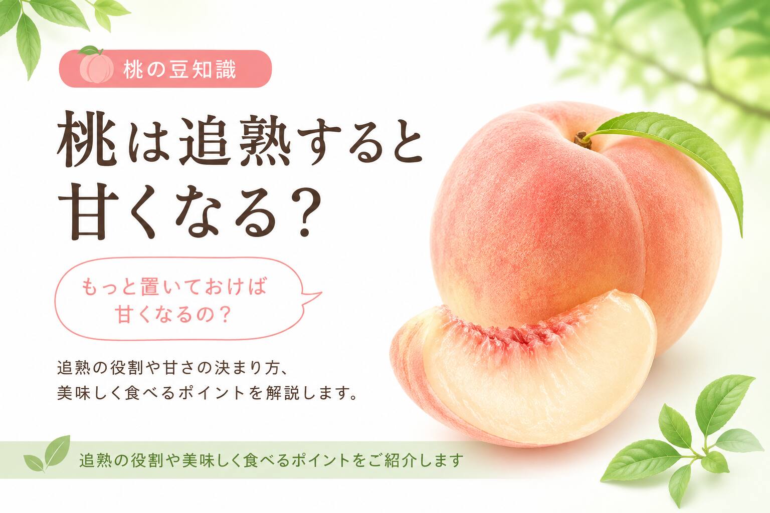 桃は追熟すると甘くなる？